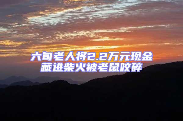 六旬老人將2.2萬元現(xiàn)金藏進柴火被老鼠咬碎