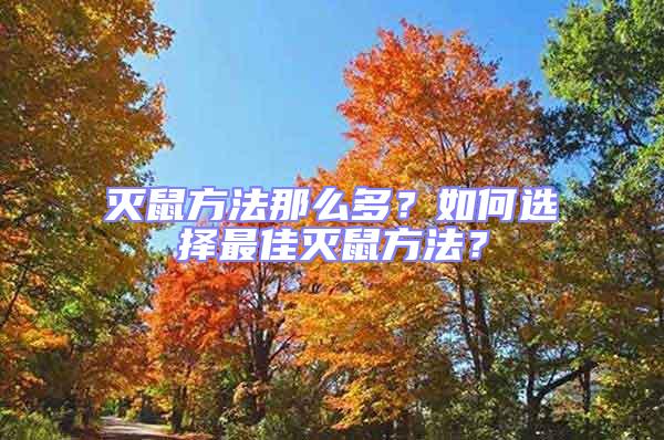 滅鼠方法那么多？如何選擇最佳滅鼠方法？