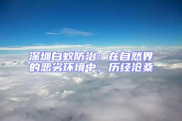深圳白蟻防治：在自然界的惡劣環(huán)境中，歷經(jīng)滄桑