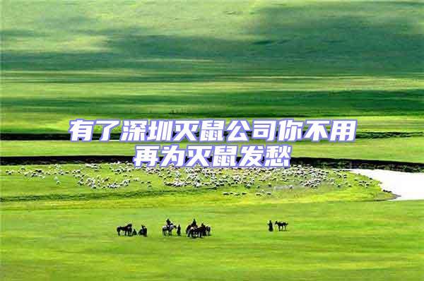 有了深圳滅鼠公司你不用再為滅鼠發愁