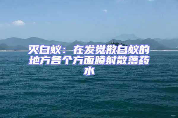 滅白蟻：在發(fā)覺散白蟻的地方各個(gè)方面噴射散落藥水