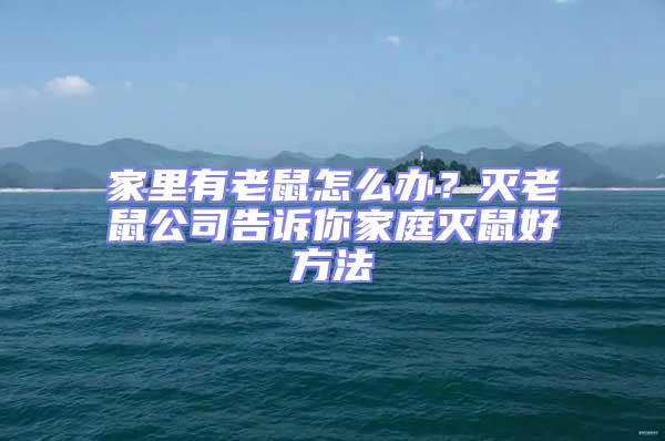 家里有老鼠怎么辦？滅老鼠公司告訴你家庭滅鼠好方法