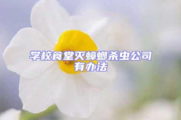 學校食堂滅蟑螂殺蟲公司有辦法