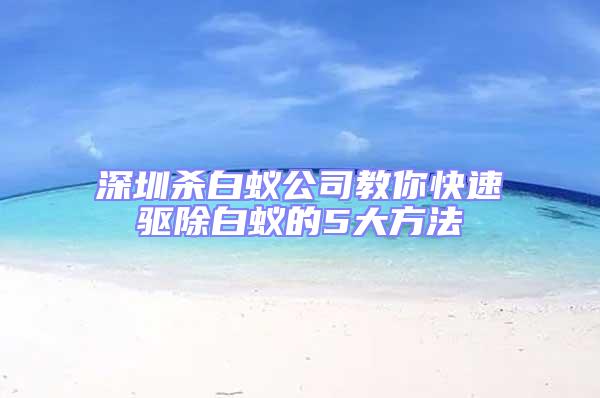 深圳殺白蟻公司教你快速驅除白蟻的5大方法