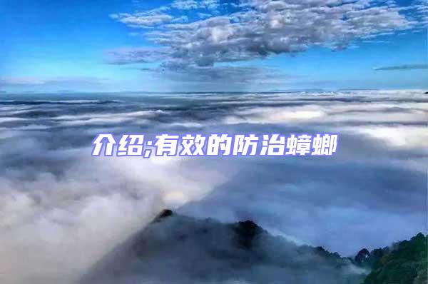 介紹;有效的防治蟑螂