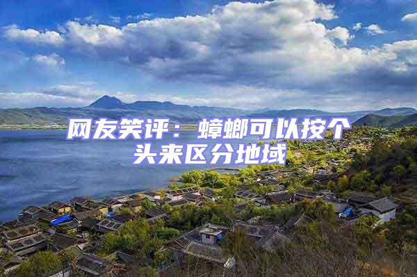 網友笑評：蟑螂可以按個頭來區分地域