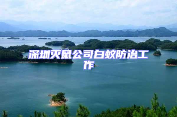 深圳滅鼠公司白蟻防治工作