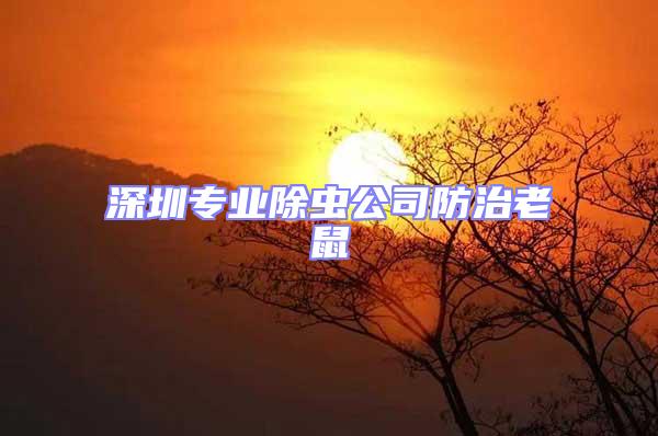 深圳專業除蟲公司防治老鼠