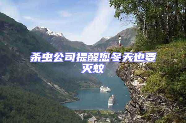 殺蟲公司提醒您冬天也要滅蚊