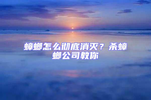 蟑螂怎么徹底消滅？殺蟑螂公司教你