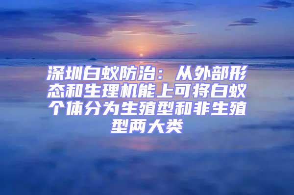 深圳白蟻防治：從外部形態和生理機能上可將白蟻個體分為生殖型和非生殖型兩大類