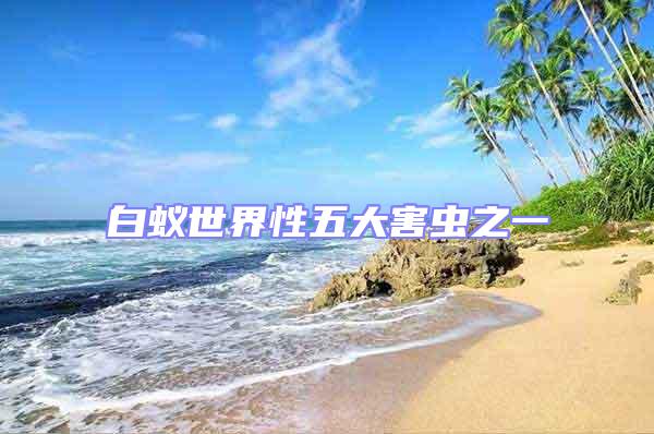 白蟻世界性五大害蟲之一