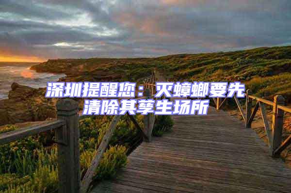 深圳提醒您：滅蟑螂要先清除其孳生場所