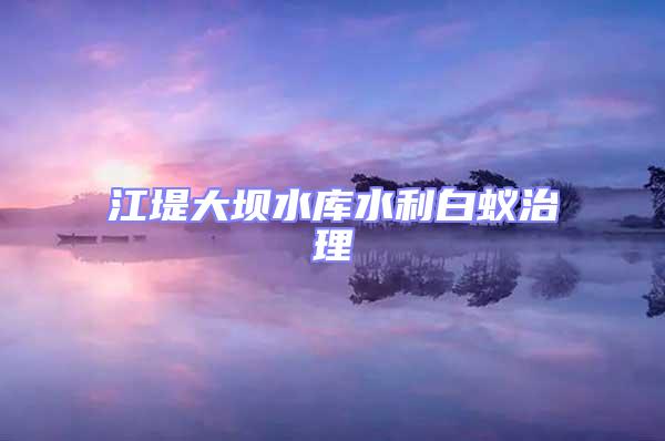 江堤大壩水庫(kù)水利白蟻治理