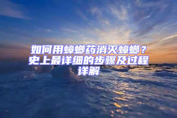 如何用蟑螂藥消滅蟑螂？史上最詳細的步驟及過程詳解