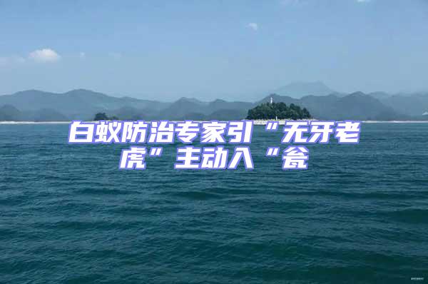 白蟻防治專家引“無牙老虎”主動入“甕