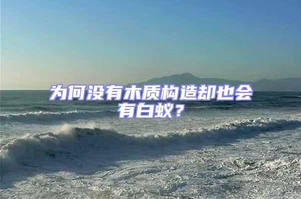 為何沒有木質構造卻也會有白蟻？