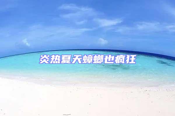 炎熱夏天蟑螂也瘋狂