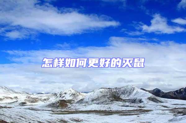 怎樣如何更好的滅鼠