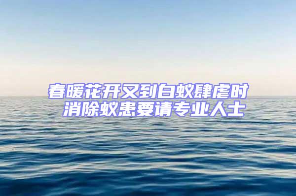 春暖花開又到白蟻肆虐時 消除蟻患要請專業人士