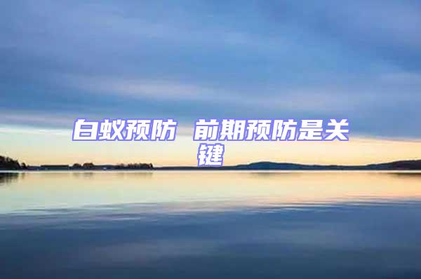 白蟻預防 前期預防是關鍵