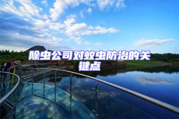 除蟲公司對蚊蟲防治的關鍵點
