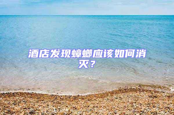 酒店發現蟑螂應該如何消滅？