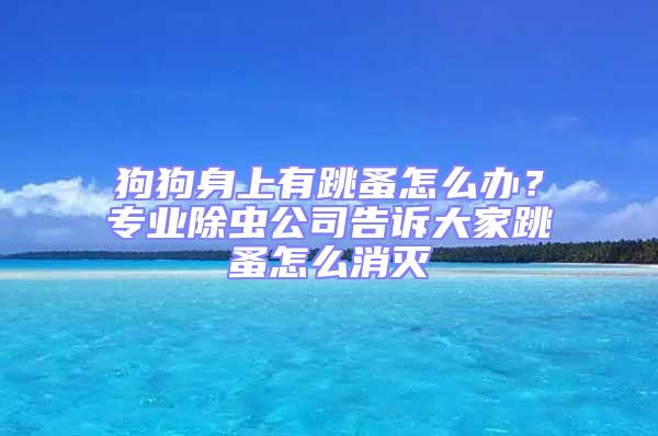 狗狗身上有跳蚤怎么辦？專業除蟲公司告訴大家跳蚤怎么消滅
