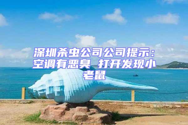 深圳殺蟲公司公司提示：空調有惡臭 打開發現小老鼠