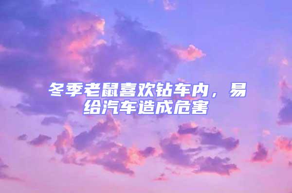 冬季老鼠喜歡鉆車內(nèi)，易給汽車造成危害