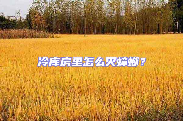 冷庫(kù)房里怎么滅蟑螂？