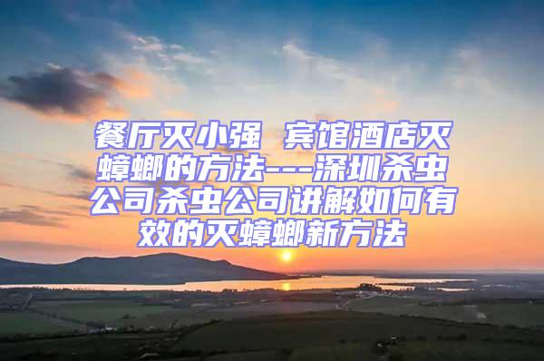 餐廳滅小強(qiáng) 賓館酒店滅蟑螂的方法---深圳殺蟲(chóng)公司殺蟲(chóng)公司講解如何有效的滅蟑螂新方法