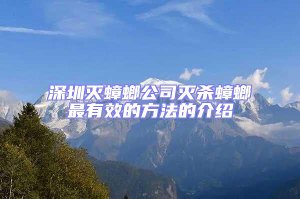 深圳滅蟑螂公司滅殺蟑螂最有效的方法的介紹