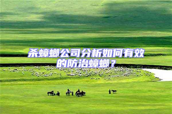 殺蟑螂公司分析如何有效的防治蟑螂？