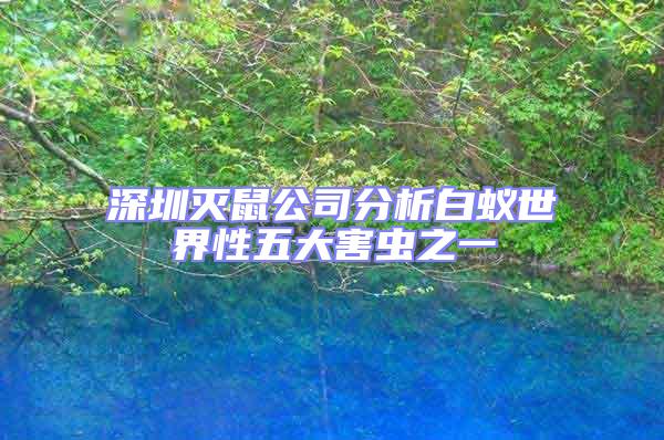 深圳滅鼠公司分析白蟻世界性五大害蟲之一