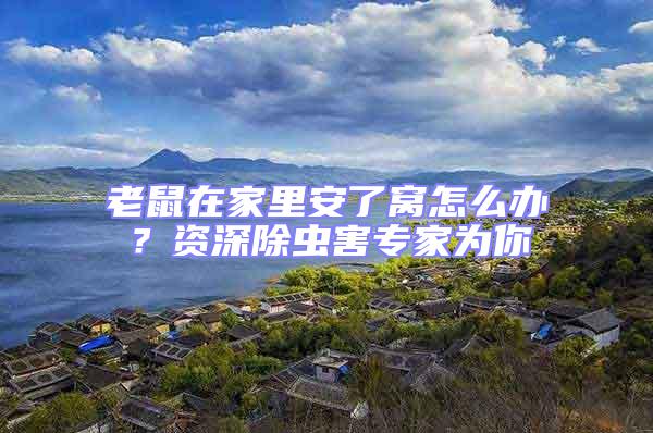 老鼠在家里安了窩怎么辦？資深除蟲害專家為你