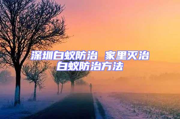 深圳白蟻防治 家里滅治白蟻防治方法