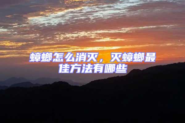 蟑螂怎么消滅，滅蟑螂最佳方法有哪些