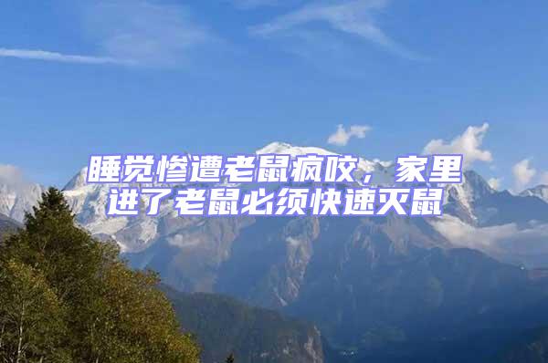 睡覺慘遭老鼠瘋咬，家里進了老鼠必須快速滅鼠