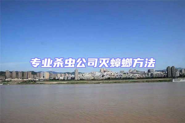 專業殺蟲公司滅蟑螂方法