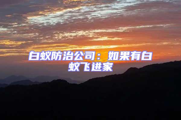 白蟻防治公司：如果有白蟻飛進(jìn)家