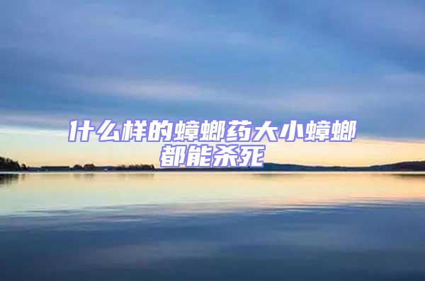 什么樣的蟑螂藥大小蟑螂都能殺死