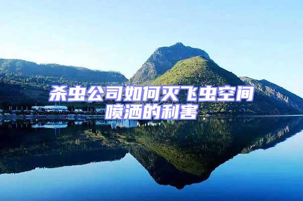 殺蟲(chóng)公司如何滅飛蟲(chóng)空間噴灑的利害