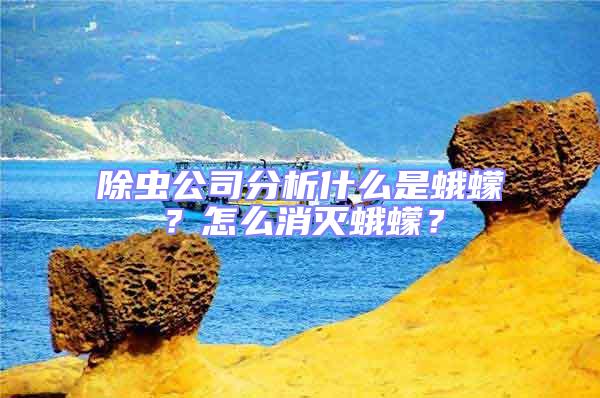 除蟲公司分析什么是蛾蠓？怎么消滅蛾蠓？