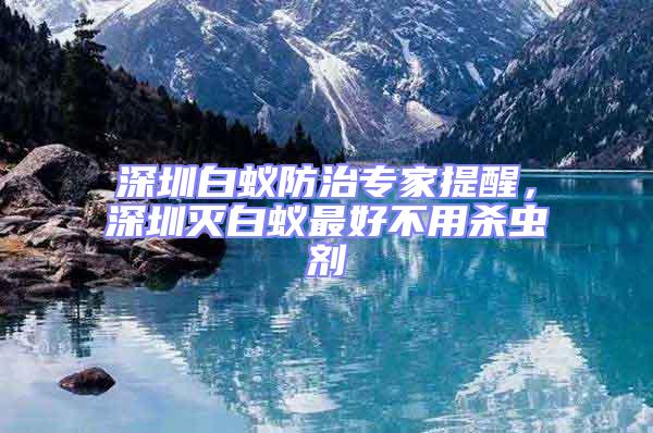 深圳白蟻防治專家提醒，深圳滅白蟻最好不用殺蟲劑