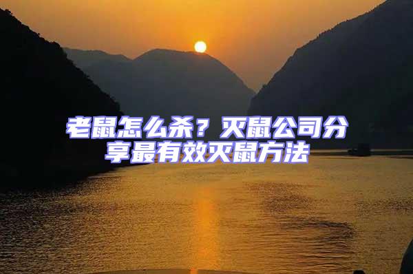老鼠怎么殺？滅鼠公司分享最有效滅鼠方法