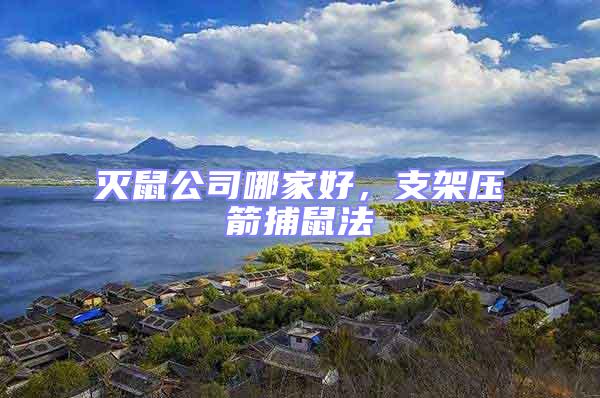 滅鼠公司哪家好，支架壓箭捕鼠法