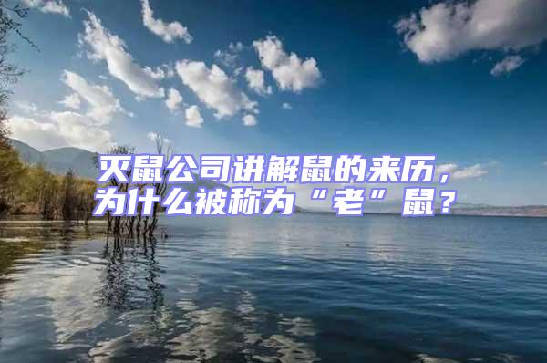 滅鼠公司講解鼠的來(lái)歷，為什么被稱為“老”鼠？