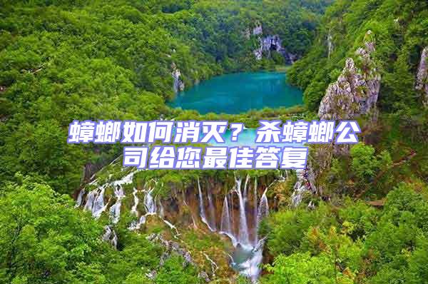 蟑螂如何消滅？殺蟑螂公司給您最佳答復