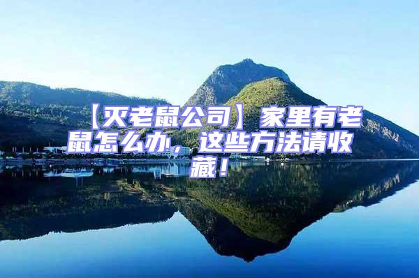 【滅老鼠公司】家里有老鼠怎么辦，這些方法請收藏！